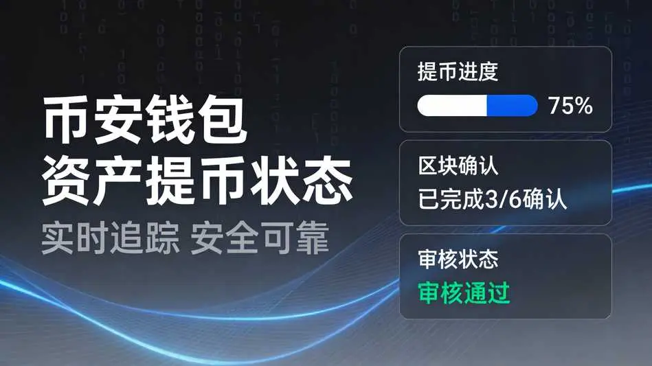 币安如何查看钱包资产提币状态